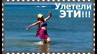 Свадьба божьих коровок на Джемете закончилась 12 июля.  Миллионы жучков больше не летают и не кусают
