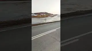 Около трассы. Паводок-2024. Учалинский район