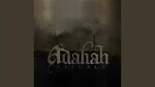 Rituals