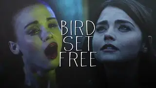 multifemales; BIRD SET FREE /collab/