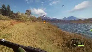 Hunting Ducks #2