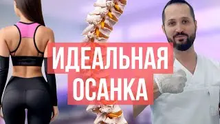Идеальная осанка, правильные изгибы позвоночника