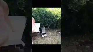 Помог пожарить и отжарил 18+