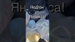 Подарок от кормильца!😍 
