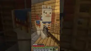 А ты кожу даёшь? Жаль(