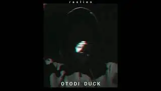 raslinn - OTODI DUCK song