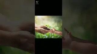 VIDEO 70f022d6 5d69 4eab a69d 38b872f62eb9