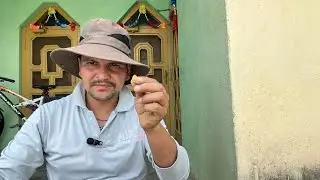 Queen Sell Kharab Hogaya