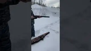 Первый выстрел из гладкоствольного ружья. ИЖ 27