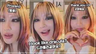 welcome to siyeon's live 🐺드림캐쳐 시연 라이브 환영합니다~