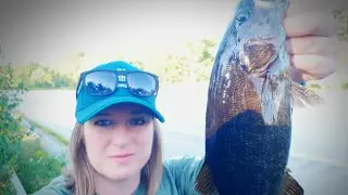 Highway Fishing for Invasive Species!