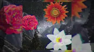New Bloom - Spacebuzz