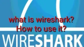 What is Wireshark? How to use it?
