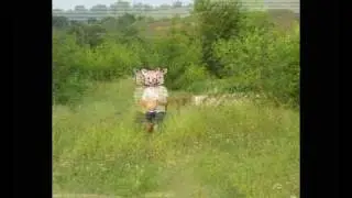 Поросёнок Пётр.avi