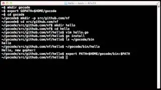 Writing, building, installing, and testing Go code