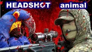 #BF4 sniper desumilde #023 Headshots épicos  Papagaioazul extinto