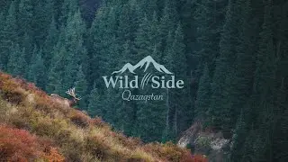 Magic autumn on Wild Side KZ. Магия осени и маралы. Sony a6500 | Sony E 70-350mm f/4.5-6.3 G OSS