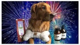 Silvesterangst bekämpfen 😱🎆 + Verlosung 💕