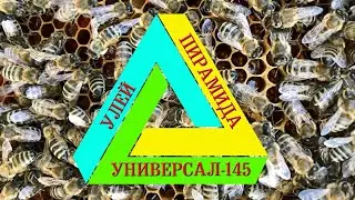 Малоформатный Улей 