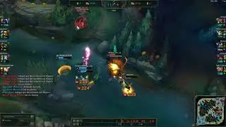 Un udyr qui voulait KS