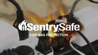 Sentry®Safe Fire Resistant Document Bag