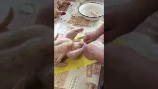 Разделка тушки куриного бройлера