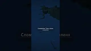 Закидал волка камнями :(