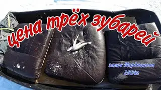 Цена трёх ЗУБАРЕЙ