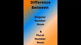 Difference Between Singular Number Nouns and Plural Number Nouns