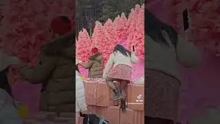 Instagram VS Reality #pinksand #herbislandkorea