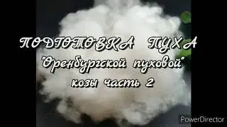 PREPARATION OF DOWN FLEECE OF THE 