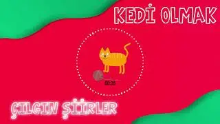 Kedi Olmak Şiiri (Çılgın Şiirler Serisi) - Rafet SERTOĞLU | Çocuk Şiirleri