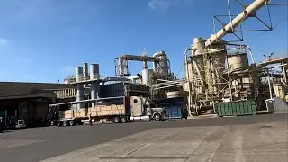 Завод по производству фанеры в Америке. Штат Орегон. Встретил коллегу из Грузии. Ростов. Москва