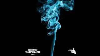 Metawolf - Transformation