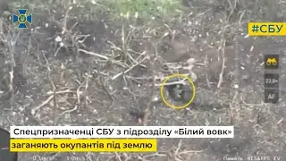 Спецпризначенці СБУ з підрозділу «Білий вовк» заганяють окупантів під землю на сході України