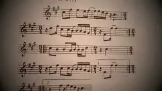 Tutorial Sikuri Kacharpari de Janansaya - Catálogo, pág.411 - Virgilo Palacios Ortega - FinlAndean
