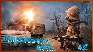 СТАЛКЕР ПО ПРОЗВИЩУ КОТ - Фильм второй