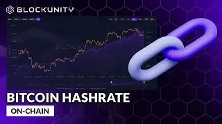 Tuto : Maîtriser le Bitcoin Hashrate