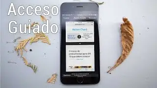 ¿Qué es y para que sirve el acceso guiado en iOS?