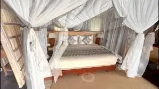 Papua Paradise Superior Room Tour
