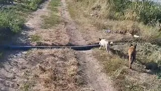 хто впізнає свою місцевість село?
