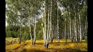 Песня 
