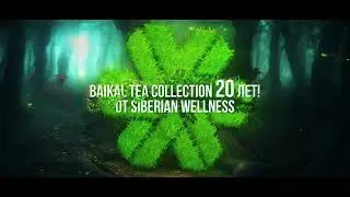 Коллекция фиточаев Baikal Tea Collection  нам 20 лет