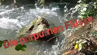 Wasser impressionen