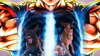 (Dragon Ball Legends) Z TIER Ultra Super Vegito got that dawg in him 🐶