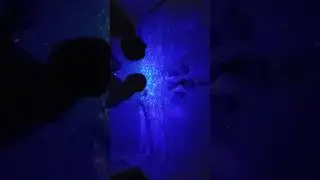 27 июля 2024 г.