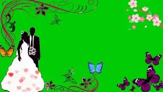 New Love Green Screen Animation | Wedding Green Screen Template Video Background | New Green Screen
