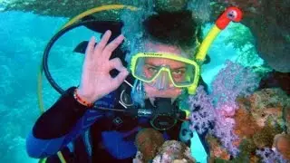 ДАЙВИНГ - фото - 2019 / DIVING - photo / Tauchen - Foto