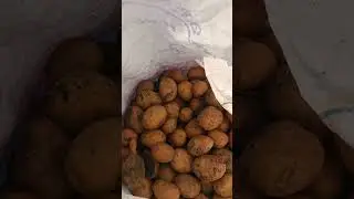 Россия /жизнь в деревне/