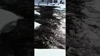 «Девица из водицы» Сергей Волостнов. Сказ. (Часть 22) 